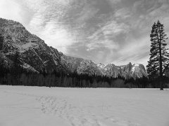 20110220-21_Yosemite 112